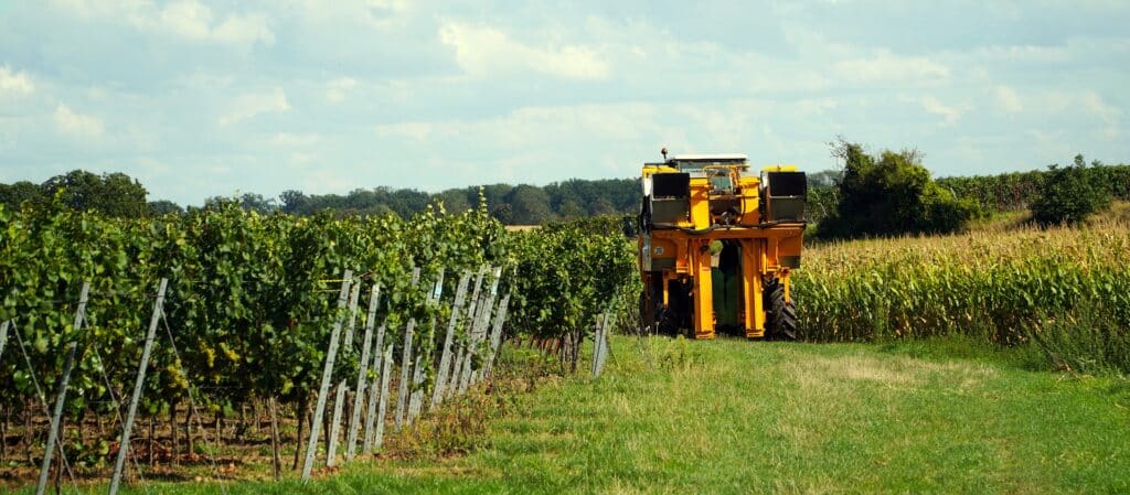 Comment devenir vigneron ?